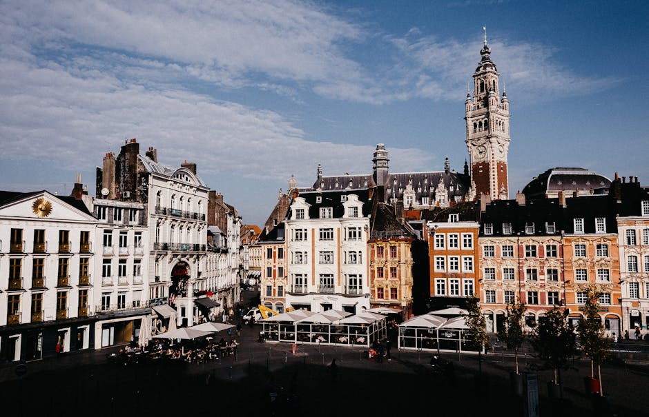 Consultant SEO Lille : Optimisation référencement
